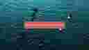 A Why Media Production | Wilderness Grove thumbnail image
