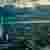 Has Trump 'chickened out?' Thumbnail Image