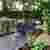 Amber Hot Tubs Appoint Why Media For Website Rebrand and Videography Services Thumbnail Image